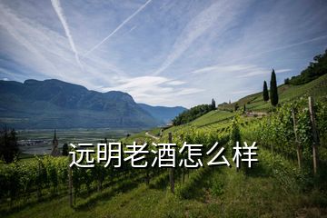 遠(yuǎn)明老酒怎么樣