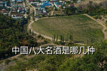 中國(guó)八大名酒是哪幾種