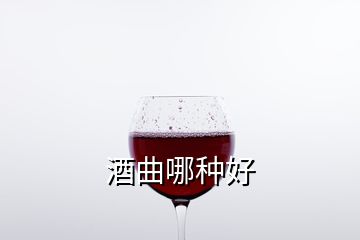 酒曲哪種好