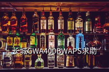 長城GWA400BWAPS求助