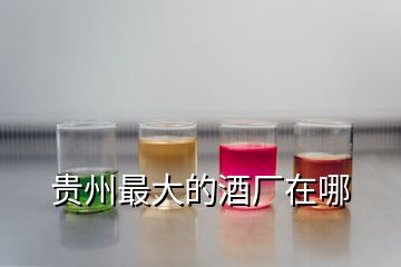 貴州最大的酒廠在哪