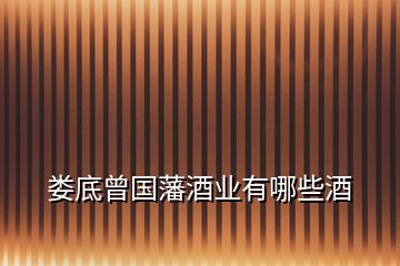 婁底曾國(guó)藩酒業(yè)有哪些酒