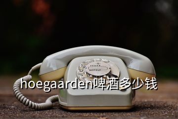 hoegaarden啤酒多少錢