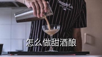 怎么做甜酒釀