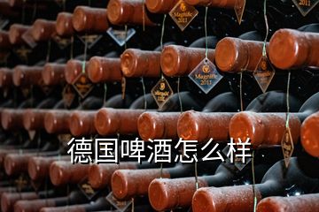 德國(guó)啤酒怎么樣