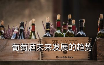 葡萄酒未來發(fā)展的趨勢(shì)