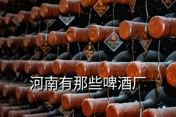 河南有那些啤酒廠