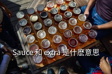 Sauce 和 extra 是什麼意思