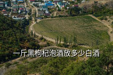 一斤黑枸杞泡酒放多少白酒