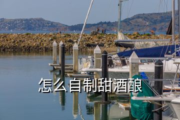 怎么自制甜酒釀