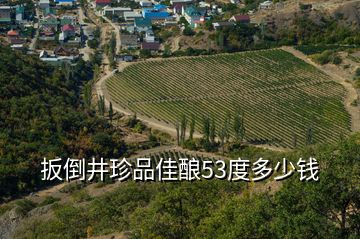 扳倒井珍品佳釀53度多少錢