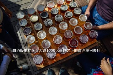 白酒股重挫茅臺大跌1000億暴跌之下的白酒股何去何從