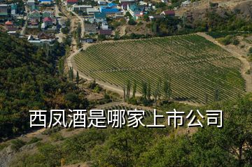 西鳳酒是哪家上市公司