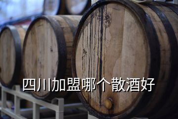 四川加盟哪個散酒好