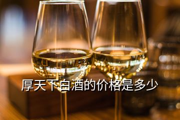 厚天下白酒的價(jià)格是多少