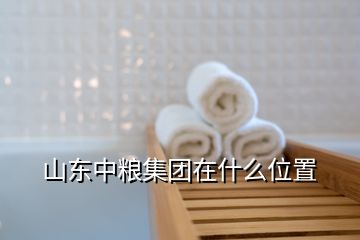 山東中糧集團在什么位置