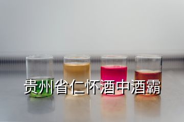 貴州省仁懷酒中酒霸