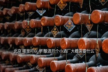 北京 哪里可以 學 釀酒開個小酒廠大概需要什么