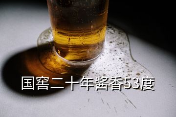 國(guó)窖二十年醬香53度