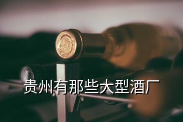 貴州有那些大型酒廠