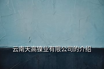 云南天高鎳業(yè)有限公司的介紹