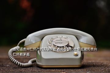 誰知道貴州仁懷產(chǎn)的古鎮(zhèn)懷莊酒醬香型53十年窖藏和貴州仁懷賴茅醬