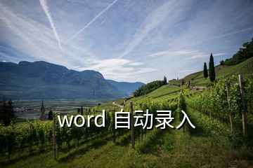 word 自動(dòng)錄入