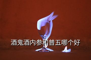 酒鬼酒內(nèi)參和普五哪個(gè)好