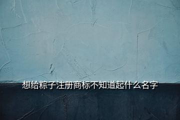 想給粽子注冊商標不知道起什么名字