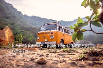 陳年老酒就是香三碗不過景陽(yáng)崗打死老虎武松漢面不變色心不慌打一