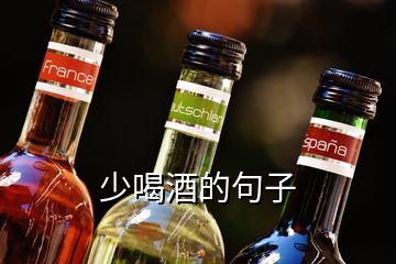 少喝酒的句子