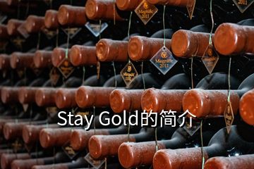 Stay Gold的簡(jiǎn)介