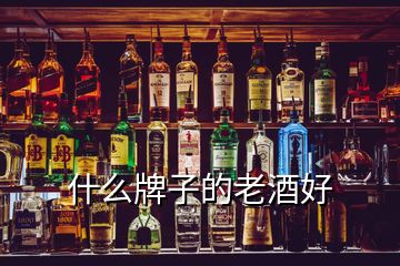 什么牌子的老酒好