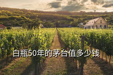 白瓶50年的茅臺(tái)值多少錢(qián)