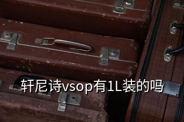 軒尼詩vsop有1L裝的嗎