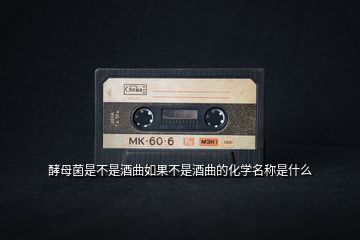 酵母菌是不是酒曲如果不是酒曲的化學(xué)名稱是什么