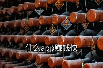 什么app賺錢快