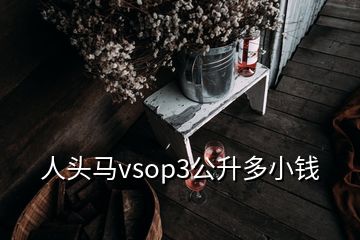 人頭馬vsop3公升多小錢