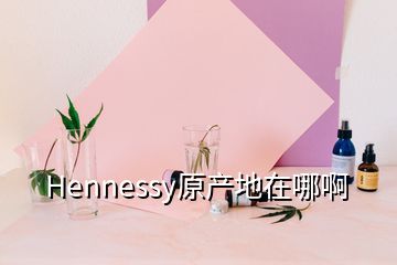 Hennessy原產(chǎn)地在哪啊