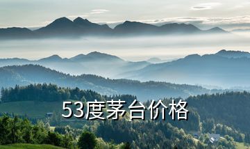 53度茅臺(tái)價(jià)格