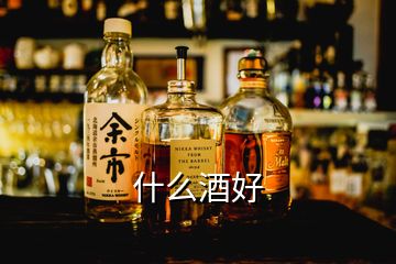 什么酒好