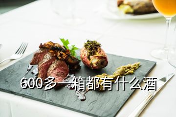 600多一箱都有什么酒