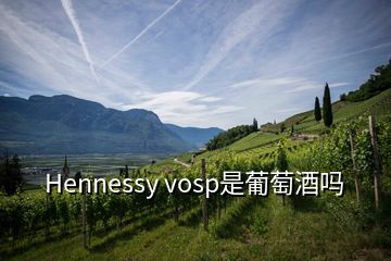 Hennessy vosp是葡萄酒嗎