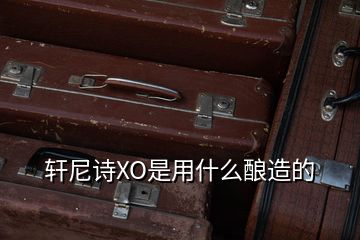 軒尼詩XO是用什么釀造的