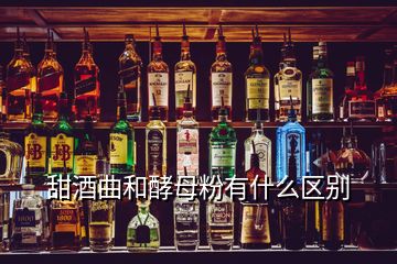 甜酒曲和酵母粉有什么區(qū)別