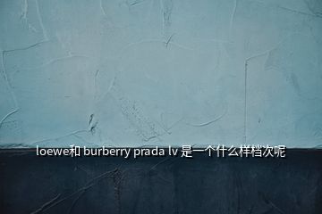 loewe和 burberry prada lv 是一個(gè)什么樣檔次呢