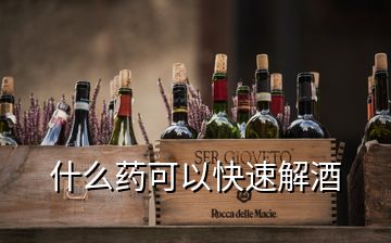 什么藥可以快速解酒