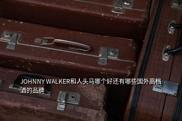 JOHNNY WALKER和人頭馬哪個好還有哪些國外高檔酒的品牌