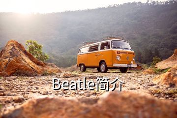 Beatle簡介