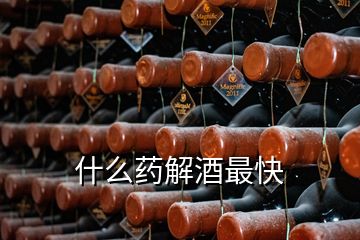 什么藥解酒最快